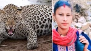 angoora-devi-leapord-attack.jpg