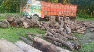 truk-with-saal-woodan.jpg