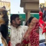 उत्तराखंड : दुल्हन की विदाई में बेजुबान भी हुए भावुक, VIDEO देख भर आएंगी आंखें