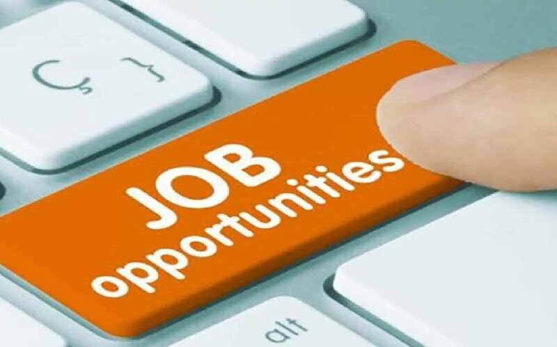job.jpg