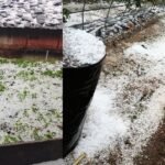 उत्तराखंड : बेमौसम बारिश और ओलावृष्टि से खेती तबाह, 522 किसानों की फसलें प्रभावित