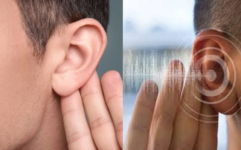 eyir-loss.jpg