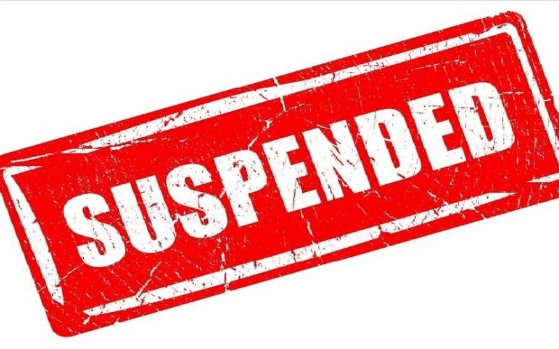 suspend.jpg